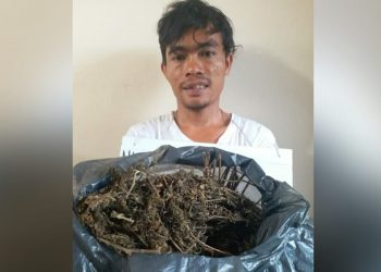 Budi Harahap Diamankan Simpan 1 Kg Ganja