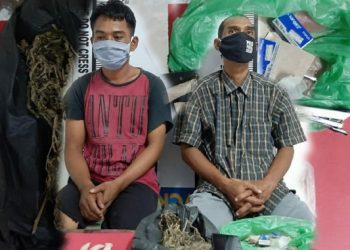 Ada "Kibus", Dua Orang Pemilik Ganja Ditangkap di Siantar