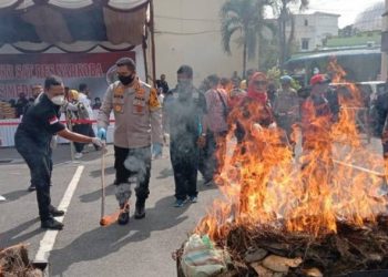 Asap 358 Kilogram Ganja Kering Mengepul di Polrestabes Medan