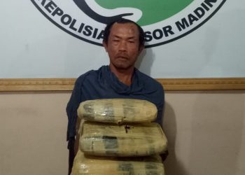Taufik Batubara, Oknum Pegawai Dinas Kebersihan Diringkus dengan Lima Kilogram Ganja
