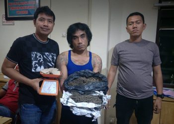 Pengedar Ganja di Jalan Seksama Diciduk