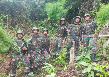 Prajurit Satgas Pamtas Yonif 126/Kala Cakti Temukan Ladang Ganja di Perbatasan Indonesia-Papua Nugini