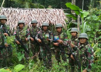 Satgas Pamtas Yonif 126 Kala Cakti Temukan Ganja di Perbatasan Indonesia 