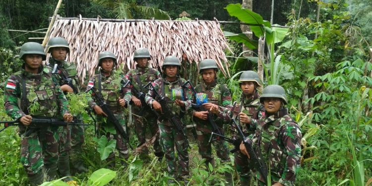 Satgas Pamtas Yonif 126 Kala Cakti Temukan Ganja di Perbatasan Indonesia 