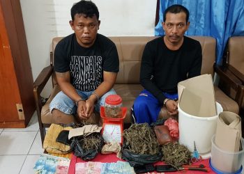Asril Sikumbang Ditangkap Jualan Ganja di Jalan Tanah Jawa