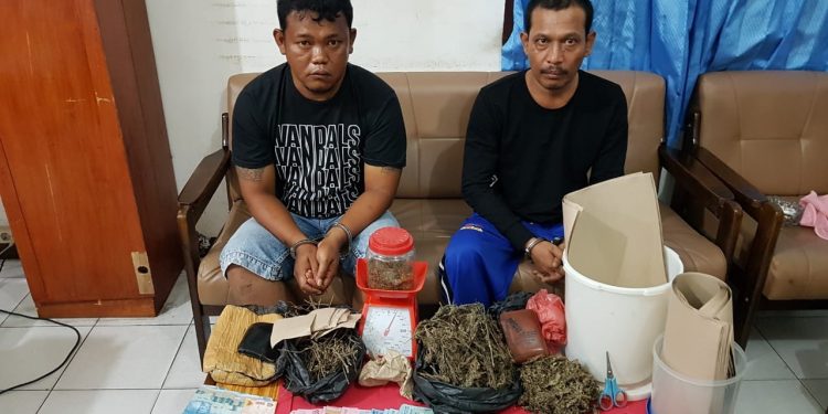 Asril Sikumbang Ditangkap Jualan Ganja di Jalan Tanah Jawa Asril Sikumbang Ditangkap Jualan Ganja di Jalan Tanah Jawa