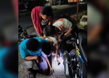 Bawa Bungkusan Ganja, Jamson Pardosi Ditangkap Polsekta Tanah Jawa
