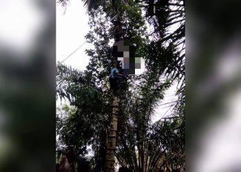 Dua Bulan Nganggur, Supir Truk Ditemukan Tergantung di Pohon Melinjo