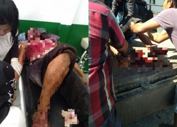Jirianto Pinem Dibacoki Adik di Ladang Orangtuanya