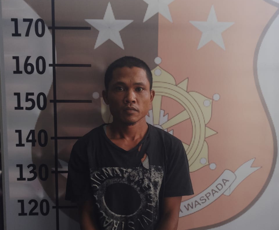 Tragis, Sandro Simanjuntak Dibunuh Gismar Simanjuntak di Ladang Kolbert Simanjuntak