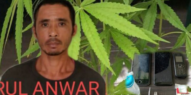 Hairul Anwar Lubis Ditangkap Tanam Ganja dan Simpan Alat Isap Sabu di Sei Mangkei