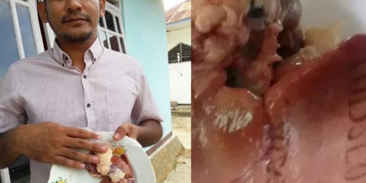 Jemaat Temukan Hati Ayam Bertuliskan Huruf dan Angka di Gereja