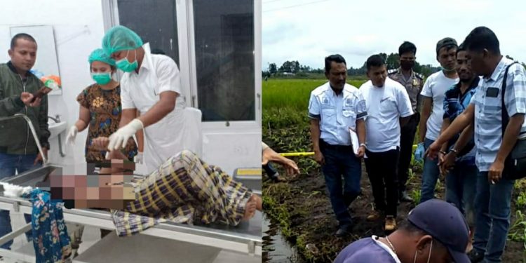 Dimpu Munthe Remaja di Dolok Sanggul Dibunuh Juprianto Munthe Dimpu Munthe Remaja di Dolok Sanggul Dibunuh Juprianto Munthe