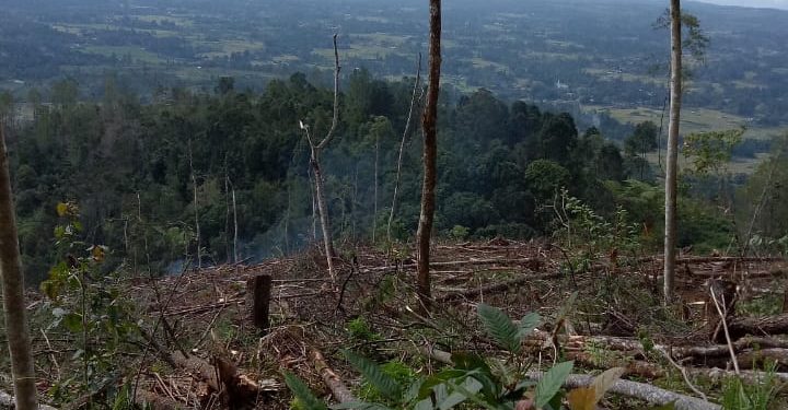 Delon Simanungkalit Meradang, BPPHLHKS Tinjau Pengrusakan Hutan di Taput