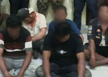 Enam Terduga Pelaku Ilegal Logging Diciduk