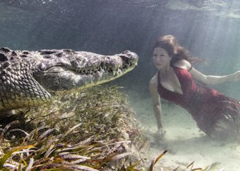 Loide Boru Sirait Tewas Diterkam Buaya Saat Mencuci Pakaian