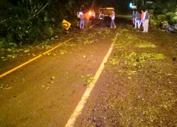 Pasca Hujan Deras, Material Longsor Menutupi Jalan Lintas Barat