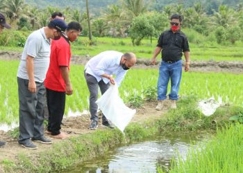 Bupati Taput Tinjau Pembukaan Jalan Usaha Tani di Desa Pardamean Kecamatan Pahae Jae
