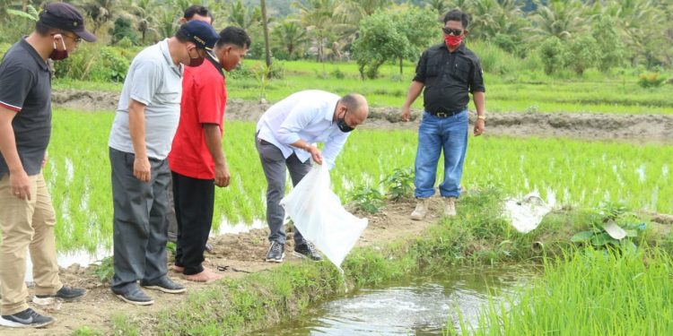 Bupati Taput Tinjau Pembukaan Jalan Usaha Tani di Desa Pardamean Kecamatan Pahae Jae
