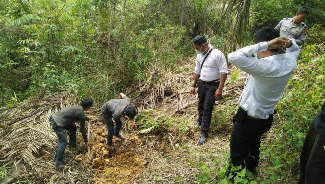 Agar Tak Dihantui Arwah Korban Usai Membunuh, Ayah dan Anak Potong lalu Makan Kelamin Toke Sawit