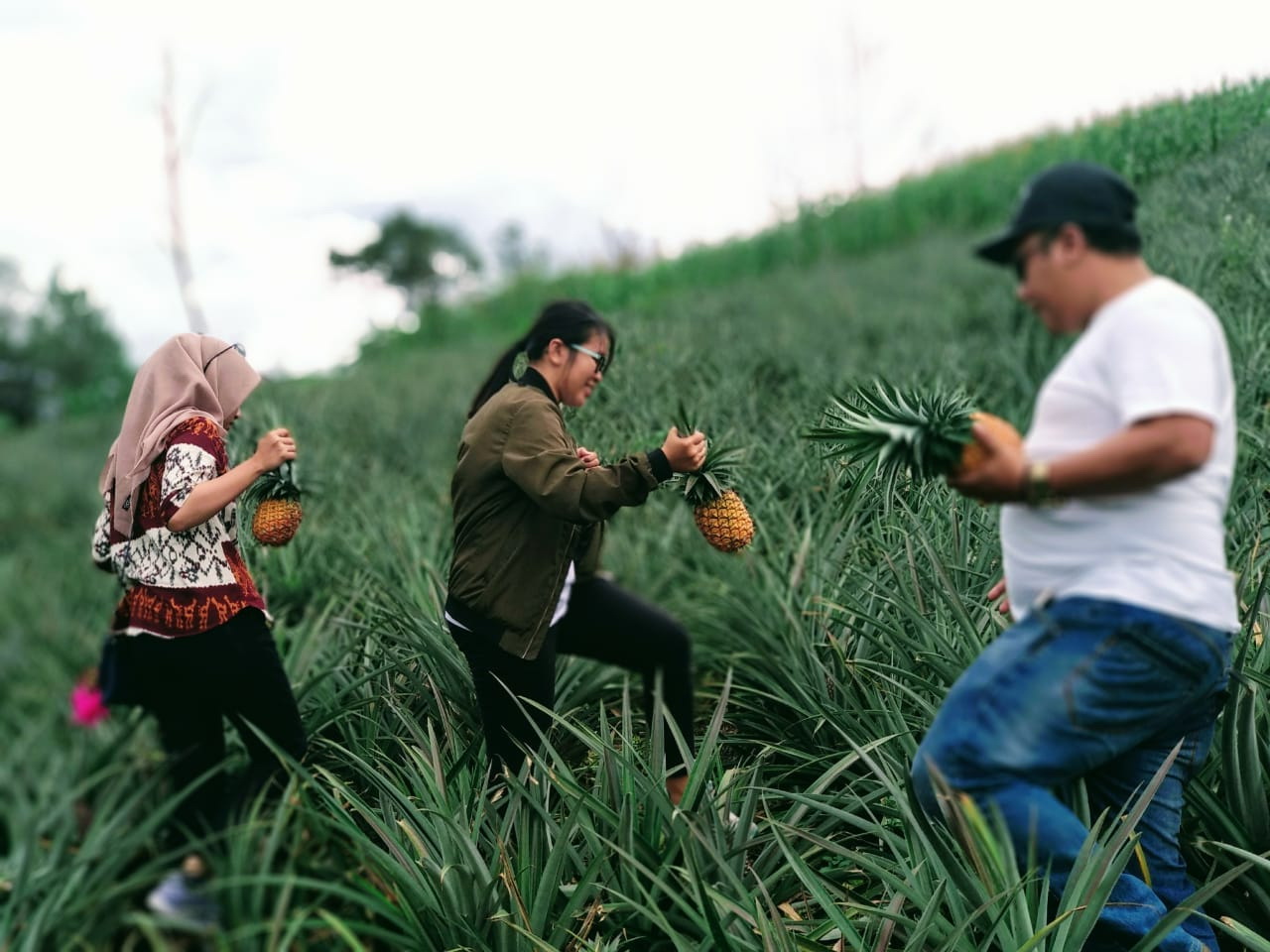 Jelajahi Pesona Indahnya Danau Toba dalam 4 Hari 3 Malam Jelajahi Pesona Indahnya Danau Toba dalam 4 Hari 3 Malam