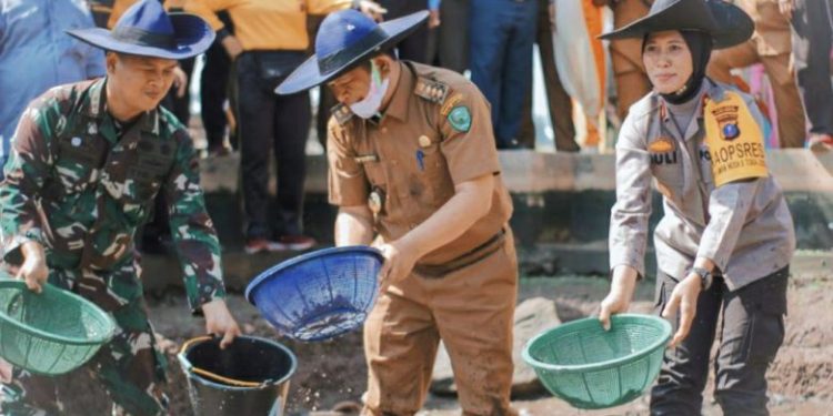 Dorong Ketahanan Pangan, Kapolres dan Walikota Padangsidimpuan serta Forkopimda Panen Ikan Dorong Ketahanan Pangan, Kapolres dan Walikota Padangsidimpuan serta Forkopimda Panen Ikan