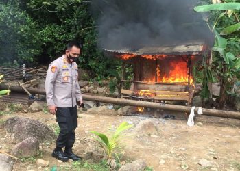 Grebek Arena Judi Sabung Ayam, Kapolres dan Waka Temukan 20 Bong Bekas