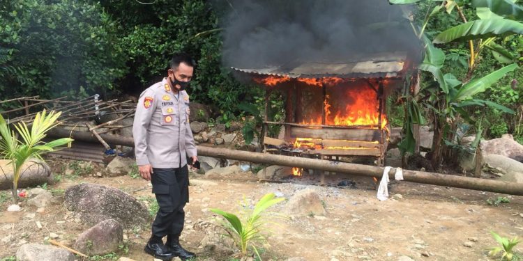 Grebek Arena Judi Sabung Ayam, Kapolres dan Waka Temukan 20 Bong Bekas