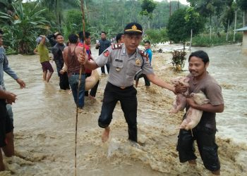 Iptu HM Sibarani, Kapolsek Bawolato Turun Langsung Bantu Korban Banjir di Nias