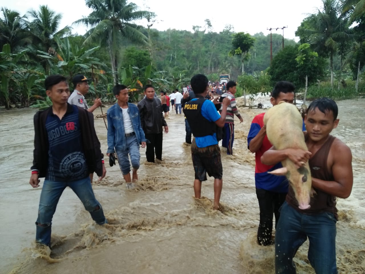 Iptu HM Sibarani, Kapolsek Bawolato Turun Langsung Bantu Korban Banjir di Nias Iptu HM Sibarani, Kapolsek Bawolato Turun Langsung Bantu Korban Banjir di Nias