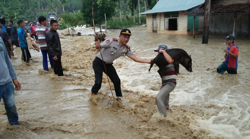 Iptu HM Sibarani, Kapolsek Bawolato Turun Langsung Bantu Korban Banjir di Nias Iptu HM Sibarani, Kapolsek Bawolato Turun Langsung Bantu Korban Banjir di Nias