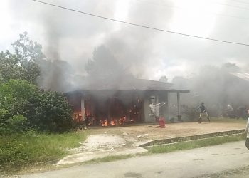 Ditinggal ke Ladang Kopi, Rumah Walter Samosir Dilalap Si Jago Merah