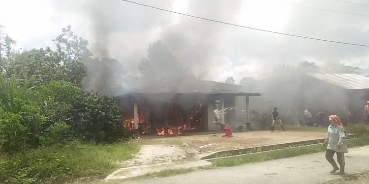 Ditinggal ke Ladang Kopi, Rumah Walter Samosir Dilalap Si Jago Merah