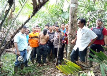 Pembacok Bocah Arsya Panggabean Diringkus Polres Tapsel di Kebun Salak