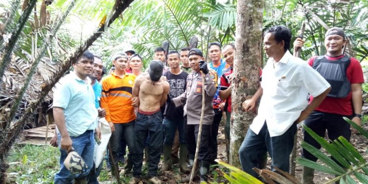 Pembacok Bocah Arsya Panggabean Diringkus Polres Tapsel di Kebun Salak