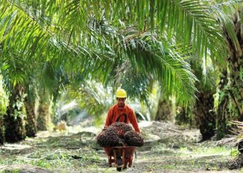 Guru Besar IPB Jelaskan Isu Deforestasi di Indonesia pada Seminar Swedia