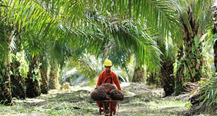 Guru Besar IPB Jelaskan Isu Deforestasi di Indonesia pada Seminar Swedia