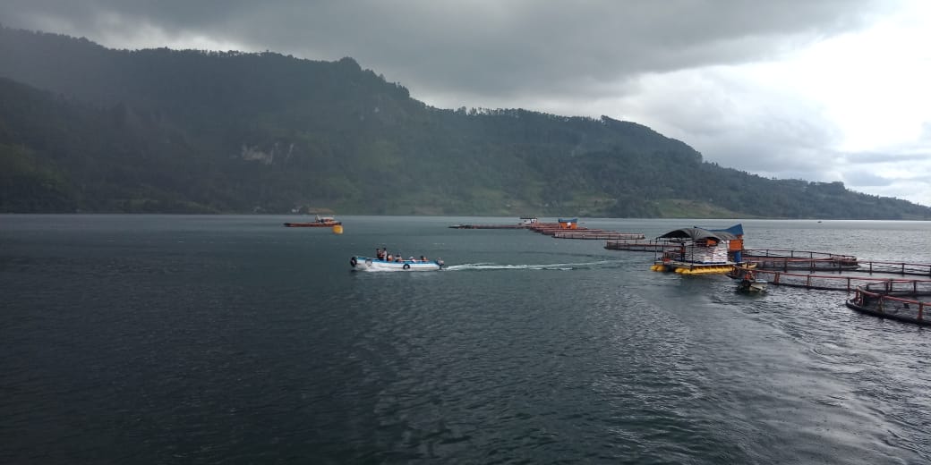 Jika Dikelola Baik, Keramba di Danau Toba Dapat Mendukung Perekonomian dan Pariwisata Jika Dikelola Baik, Keramba di Danau Toba Dapat Mendukung Perekonomian dan Pariwisata
