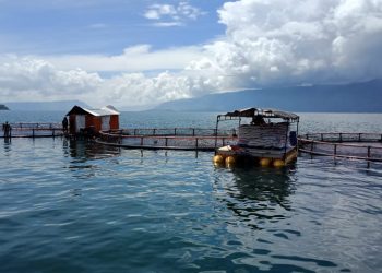Jika Dikelola Baik, Keramba di Danau Toba Dapat Mendukung Perekonomian dan Pariwisata