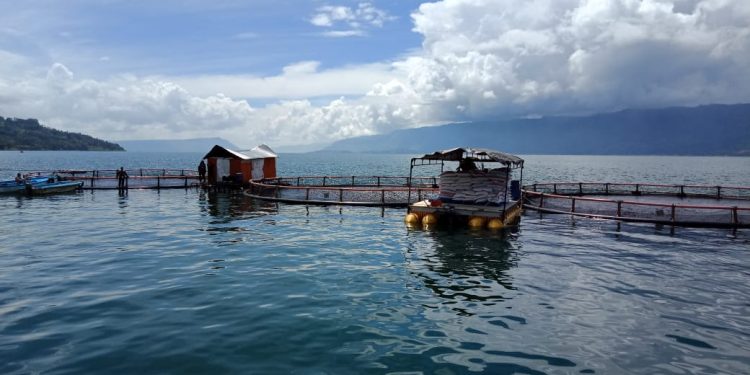 Jika Dikelola Baik, Keramba di Danau Toba Dapat Mendukung Perekonomian dan Pariwisata Jika Dikelola Baik, Keramba di Danau Toba Dapat Mendukung Perekonomian dan Pariwisata