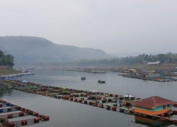Pemenuhan Kebutuhan Pangan Nasional melalui Teknologi Budidaya KJA