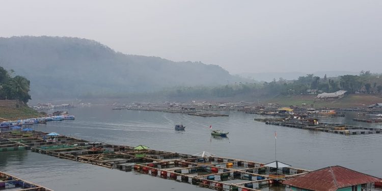 Pemenuhan Kebutuhan Pangan Nasional melalui Teknologi Budidaya KJA