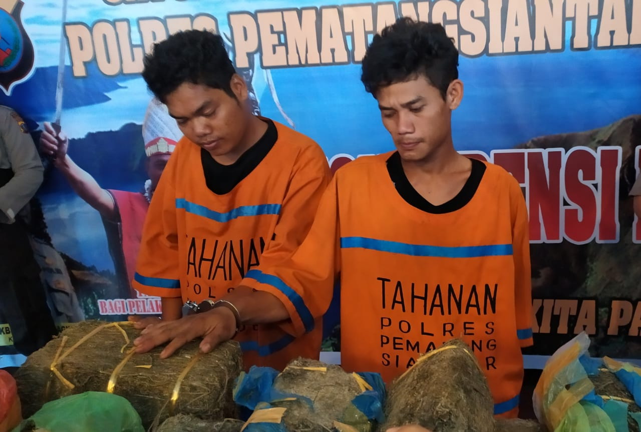 57 Kilogram Ganja Diamankan Polres Siantar, Pemiliknya Ditembak 57 Kilogram Ganja Diamankan Polres Siantar, Pemiliknya Ditembak