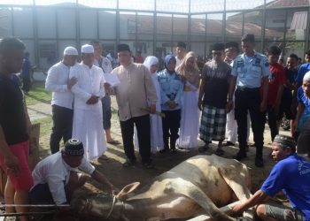 Idul Adha 1440 H Tahun 2019, Lapas Klas II A Pematangsiantar Berkurban Selama Tiga hari