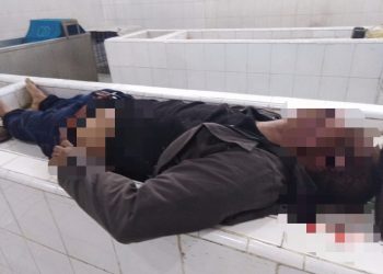 Korban Tabrak Lari, Security Tewas di Jalan Umum Kambing