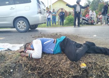 Tarzan Panjaitan Meregang Nyawa di Jalan Lintas Sumatera