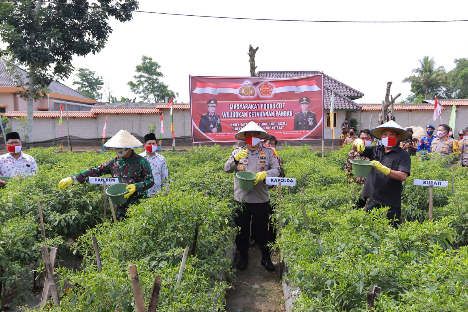 Kapolda Lampung Irjen Pol Drs Purwadi Arianto Panen Raya, Tabur Benih dan Bakti Sosial di Tulang Bawang Barat Kapolda Lampung Irjen Pol Drs Purwadi Arianto Panen Raya, Tabur Benih dan Bakti Sosial di Tulang Bawang Barat
