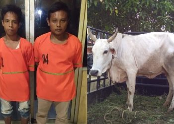 Kerap Resahkan Warga, Dua Maling Lembu Diringkus Polsek Perdagangan