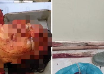 Tak Kunjung Pulang, Lisa Temukan Mertuanya Tewas Bersimbah Darah