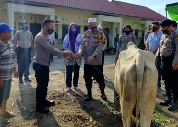 Hari Raya Idul Adha 1441 H, Polres Pelabuhan Belawan Kurban 5 Sapi
